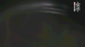 剝?nèi)ネ鈿さ墓S、切花刀的香菇、豌豆入沸水焯水。