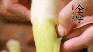 茭白剝?nèi)ネ鈿?，先切片再切絲。