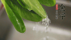 燒一鍋開水，滴一點(diǎn)油，水開后汆燙青菜至斷生即可。