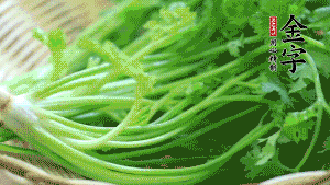 挑選鮮嫩的香菜，洗干凈后，處理成小段。