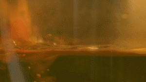 雞肉、鹽、料酒入冷水鍋水開后撇去浮沫，溫水洗凈。