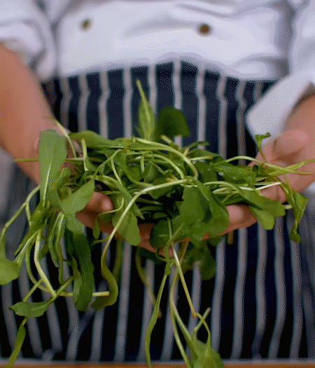 馬蘭頭焯水，切成細末。