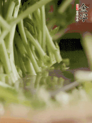 新鮮豌豆苗割下洗凈。